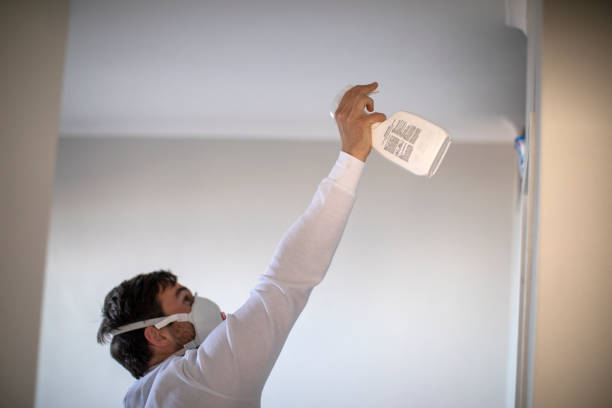 Mold Testing and Removal in Smith Valley, NV