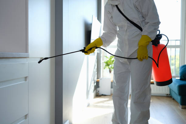 Best Office Mold Removal Services  in Smith Valley, NV