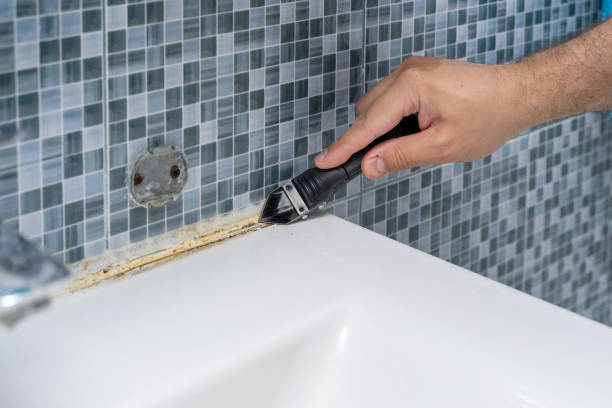 Home Mold Removal in Smith Valley, NV