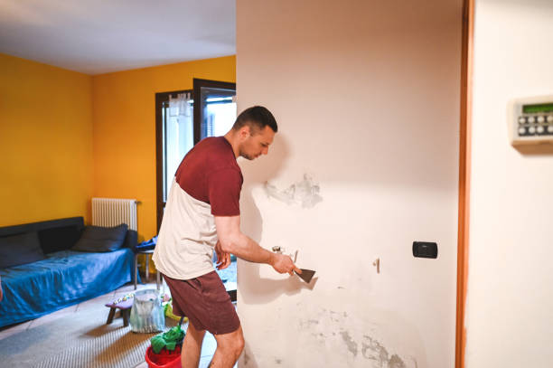 Best Mold Remediation  in Smith Valley, NV